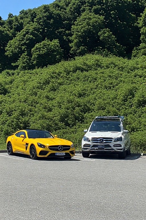 Yellow Power Mercedes Lineup